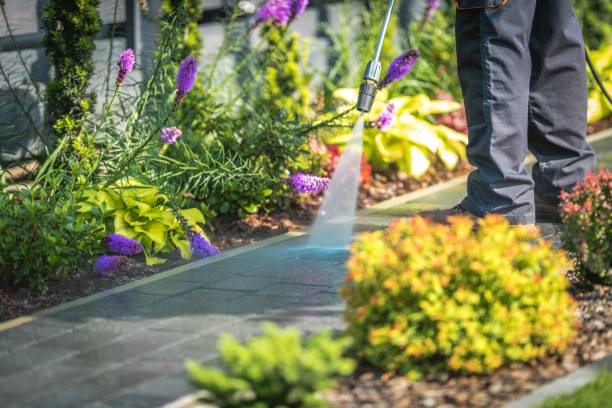 Best Warehouse Cleaning  in Panacea, FL