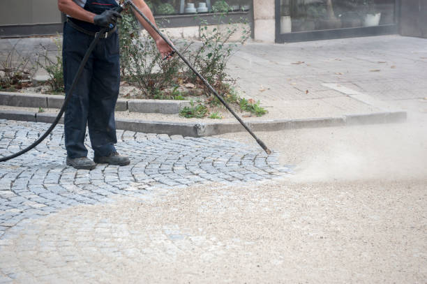 Best Spring Cleaning  in Panacea, FL